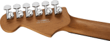 Pro-Mod Plus DK24 HH 2PT EB Ebony Fingerboard - Celestial Silk
