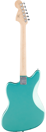 FSR AFF JAGUAR LRL WPG MSF