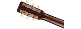 Jim Dandy Walnut Fingerboard White Pickguard Rex Burst