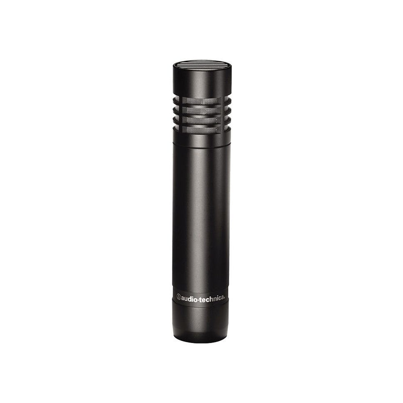 AT2031 CARDIOID CONDENSER MIC – Music Workshop Retail