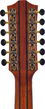 MT. BROMO GUITAR - 12ST GA E/A