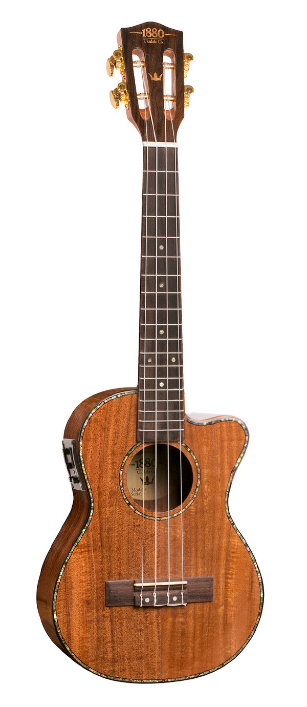 1880 300 SERIES TENOR UKULELE EL/AC