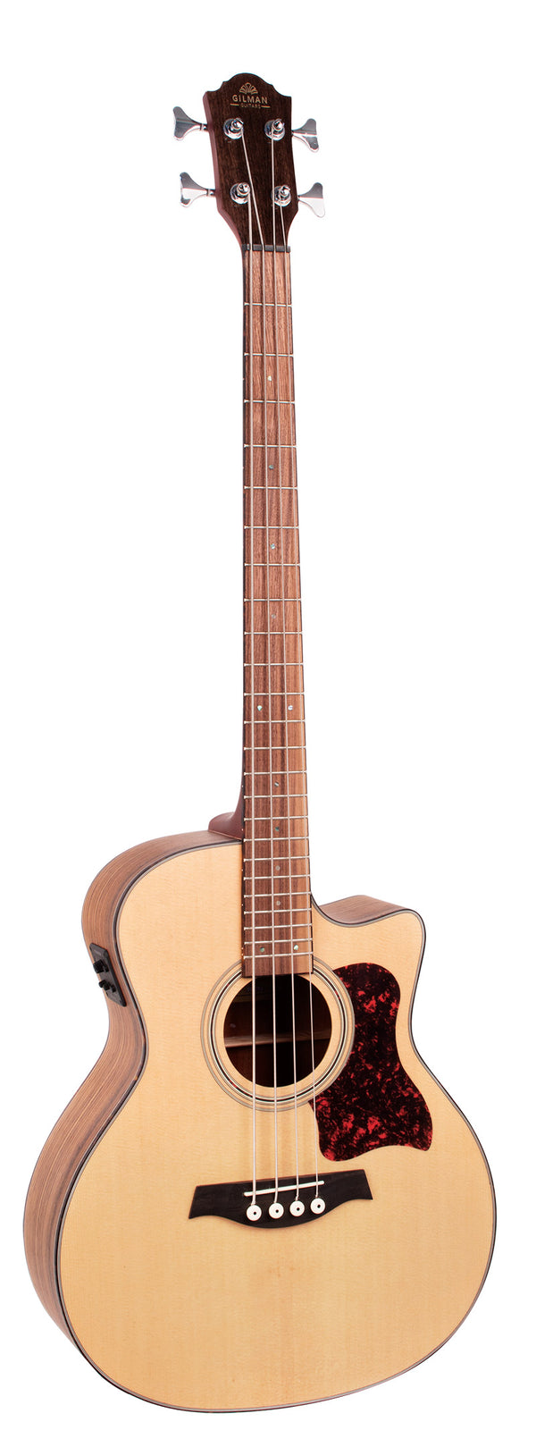 GILMAN BASS ELECT / ACOUSTIC