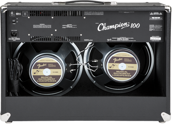 Champion 100 240V AU DS