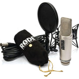 NT2A condenser microphone