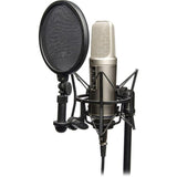 NT2A condenser microphone