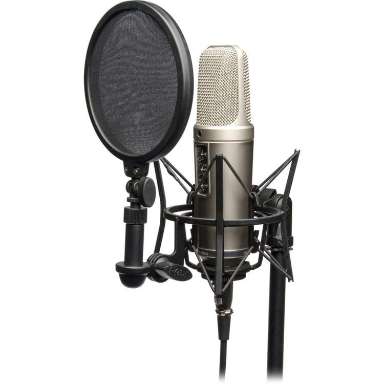 NT2A condenser microphone